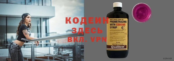 дживик Анива