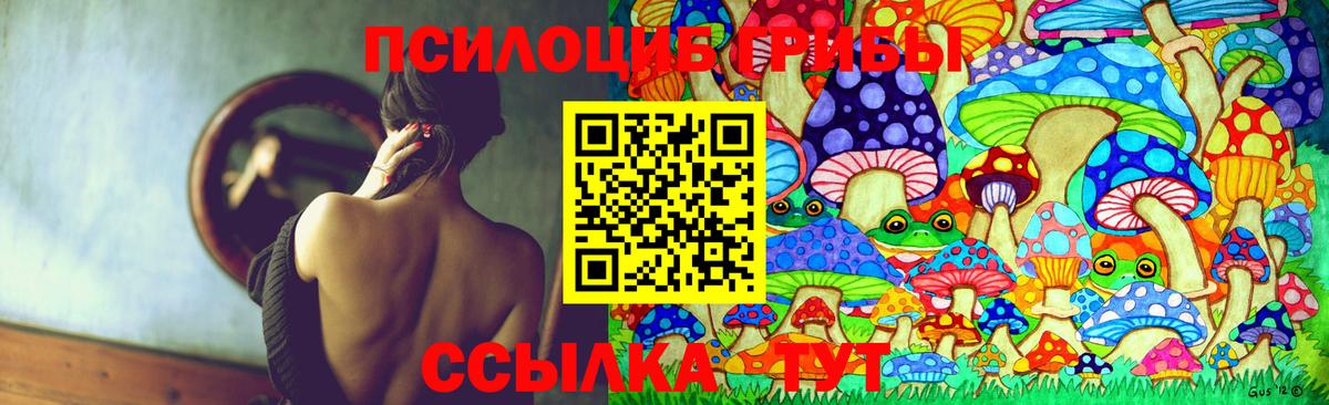 Галлюциногенные грибы Psilocybe  Галлюциногенные грибы Cubensis  Вход с VPN  Урус-Мартан 