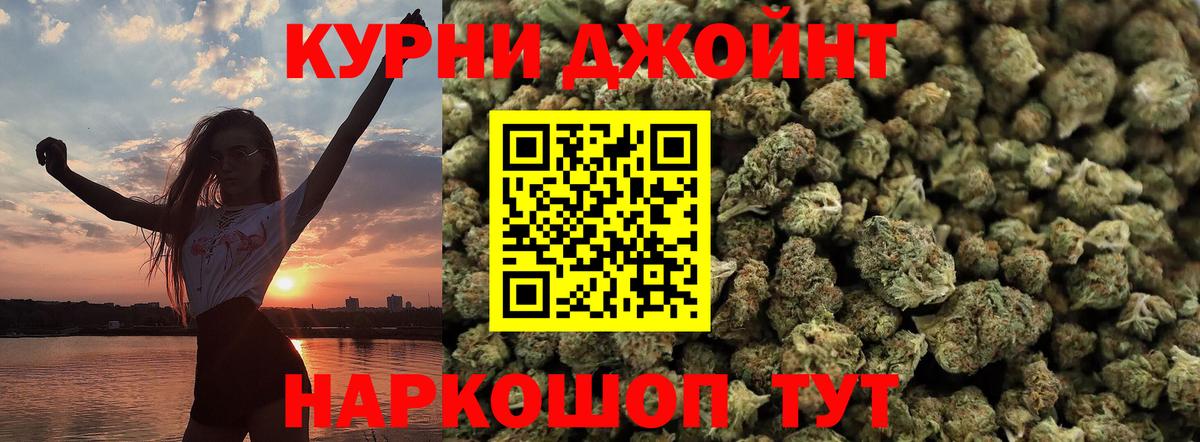 Бошки марихуана план Урус-Мартан